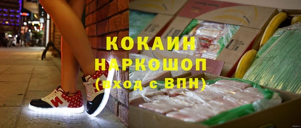 стафф Краснослободск