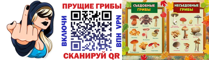 Галлюциногенные грибы Psilocybine cubensis  Купить где  Нефтегорск 